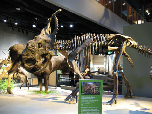 The dinosaur exhibit at the Perot Museum of Nature and Science