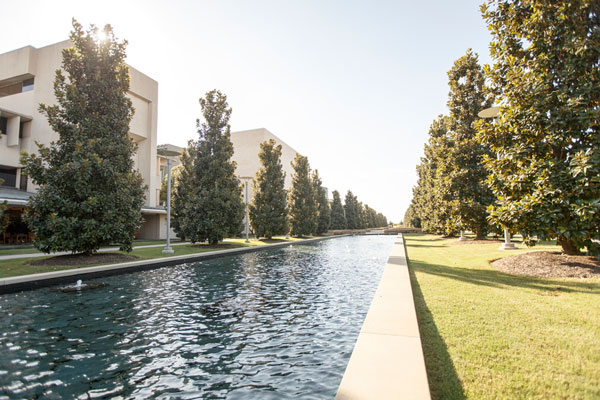 UT Dallas south mall with reflecting pools and magnolia trees