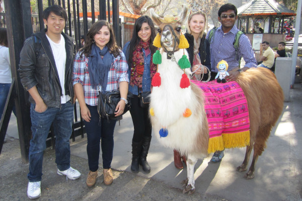 jindal school students posing with a fun animal