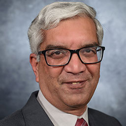 Srinivasan Raghunathan, professor in Information Systems.