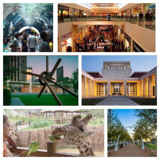 Places to See in Dallas