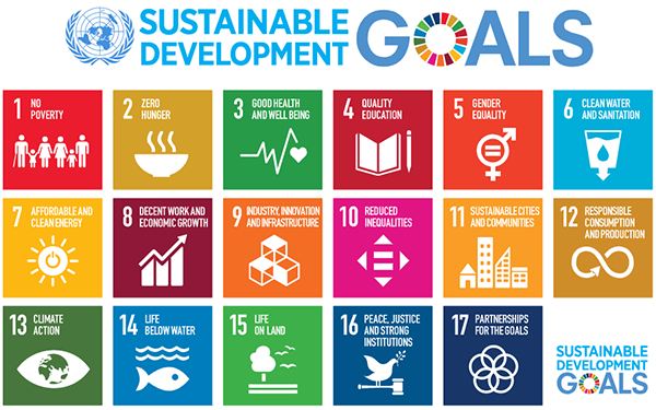 17 Sustainability Goals of the UN