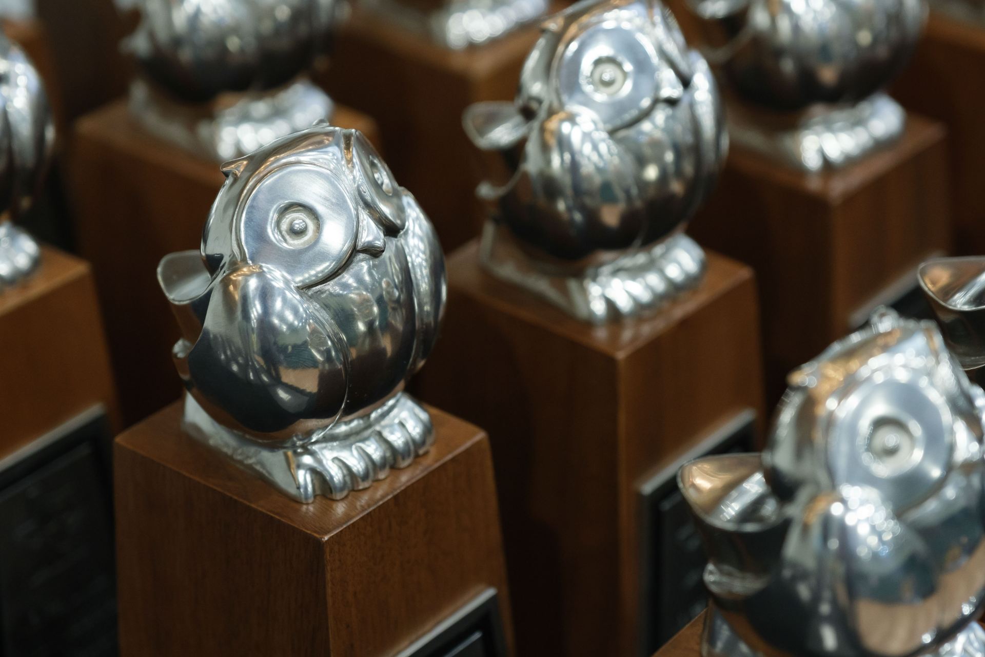 The Owl Trophies for the 2023 JSOM OWLIE awards.